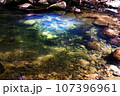 透明な川 107396961