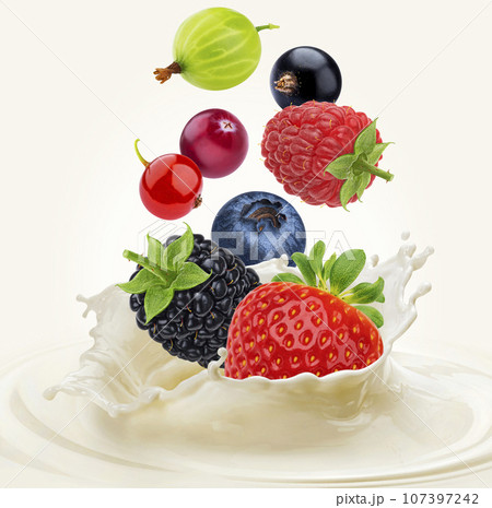 Falling berries with milk splash isolated on white background Falling berries with milk splash isolated on white background 107397242