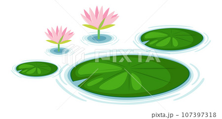 Water Lily Pads Vector Water Lily Pads Vector 107397318