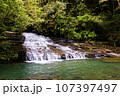 雄大な滝 107397497