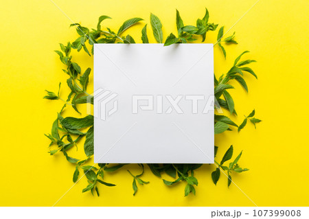 Wreath frame made of empty paper blank with space for text and mint leaves on colored background. . Mint Pattern. Flat lay. Top view Wreath frame made of empty paper blank with space for text and mint leaves on colored background. . Mint Pattern. Flat lay. Top view 107399008