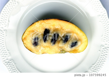 ポポー　北アメリカ原産の果物　果物 107399245