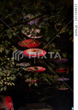 鬼怒川温泉秋イベント「月あかり花回廊」 107399637