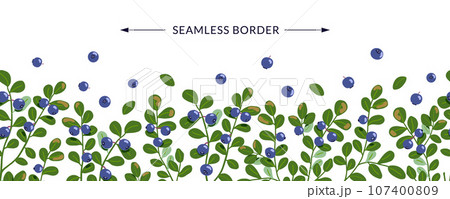 Bilberry vector seamless border design. Northern blue forest berries banner background. Hand drawn cartoon berry fruit branches illustration isolated on white. Natural healthy food with vitamins 107400809