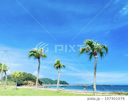 ヤシの木と青空と青い海 ヤシの木と青空と青い海 107401076