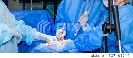 A team of doctors and nurses in blue sterile gowns performs a surgical operation A team of doctors and nurses in blue sterile gowns performs a surgical operation 107401216