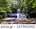 大自然の滝 107402002