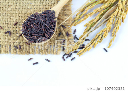 Rice berry on white background. 107402321