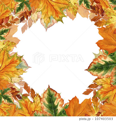 A wreath of bright autumn leaves in watercolor style, on an isolated white background, hand-drawn, botanical painting for print. Elements for the design, a botanical frame in eco-style 107403503