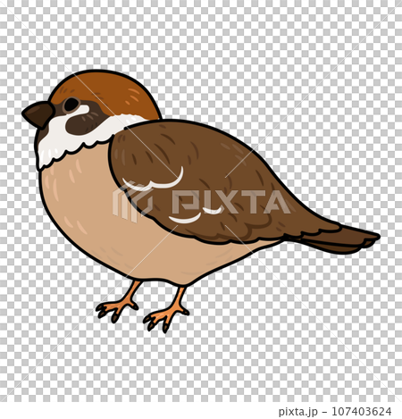 簡單可愛的手繪麻雀主線插畫 簡單可愛的手繪麻雀主線插畫 107403624