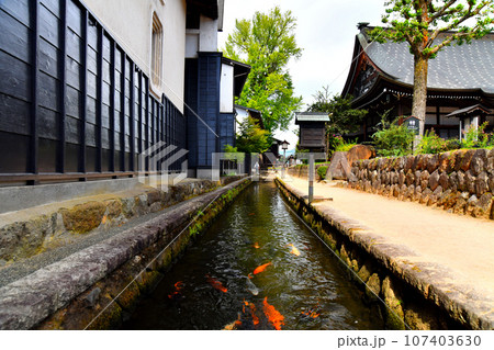 飛騨古川/瀬戸川と白壁土蔵街(円光寺付近)(岐阜県飛騨市)【2023.9】 飛騨古川/瀬戸川と白壁土蔵街(円光寺付近)(岐阜県飛騨市)【2023.9】 107403630
