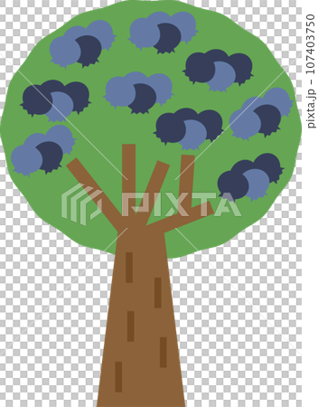 Illustration of a tree with lots of blueberries 107403750