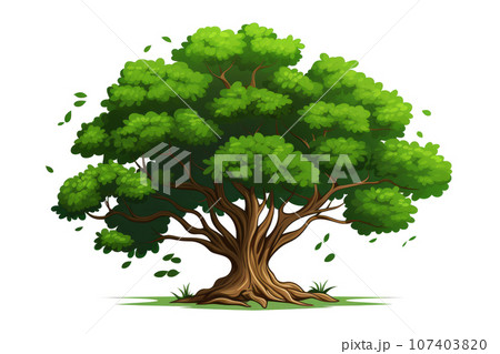 Huge verdant deciduous tree with a broad canopy on a clean white background. Generative AI 107403820