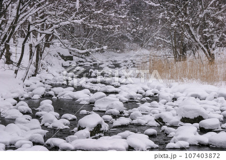冬の亀田川に雪見大福出現 冬の亀田川に雪見大福出現 107403872