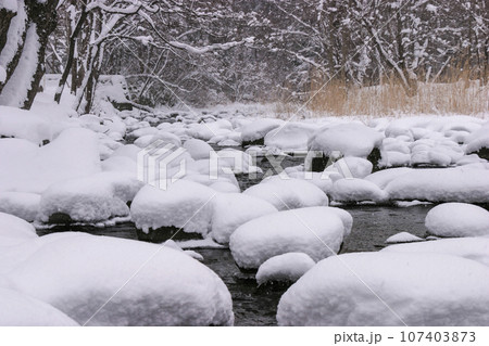 冬の亀田川に雪見大福出現 冬の亀田川に雪見大福出現 107403873