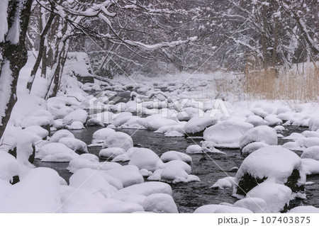 冬の亀田川に雪見大福出現 107403875