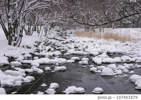 冬の亀田川に雪見大福出現 冬の亀田川に雪見大福出現 107403879