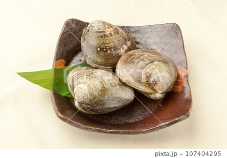 特大はまぐり 特大はまぐり 107404295