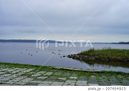 北海道枝幸郡浜頓別町にて撮影　クッチャロ湖畔 107404923