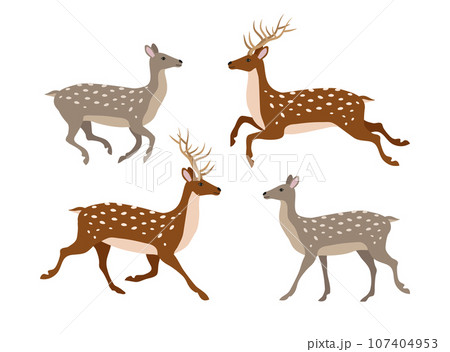 Vector set of flat hand drawn deer 107404953