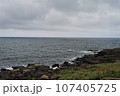 北海道枝幸郡枝幸町岬町にて撮影　ウスタイベ千畳岩 107405725