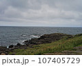 北海道枝幸郡枝幸町岬町にて撮影　ウスタイベ千畳岩 107405729