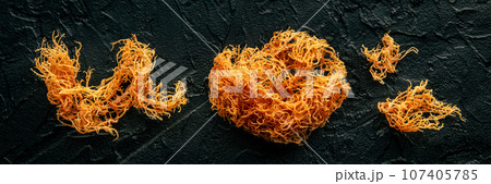 Irish sea moss panorama. Chondrus Crispus, healthy organic raw seaweed 107405785