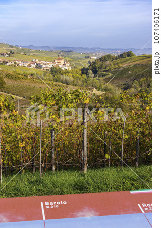 autumnal vineyards near Barolo, Piedmont, Italy autumnal vineyards near Barolo, Piedmont, Italy 107406171