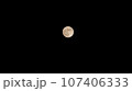 月 107406333