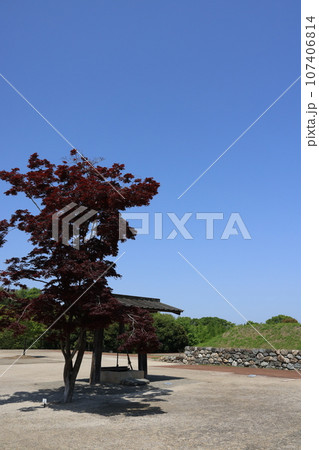 群馬県甘楽郡甘楽町の名勝楽山園の風景 107406814