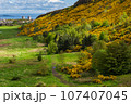Scottish Lowlands Landscape In Spring 107407045
