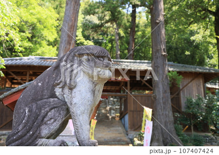 群馬県甘楽郡甘楽町小幡の小幡八幡宮の風景 107407424
