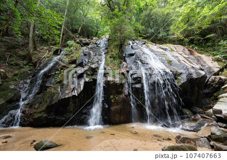 金引の滝の景観 107407663