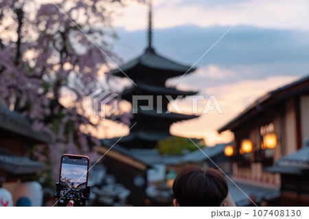 枝垂れ桜と八坂の塔撮影中 107408130