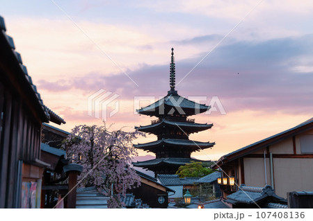 枝垂れ桜と八坂の塔 107408136