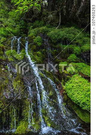 女の神氷水【茅野市ビーナスライン】 107408263