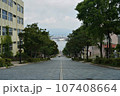 函館　八幡坂 107408664