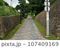函館　チャチャ登り 107409169
