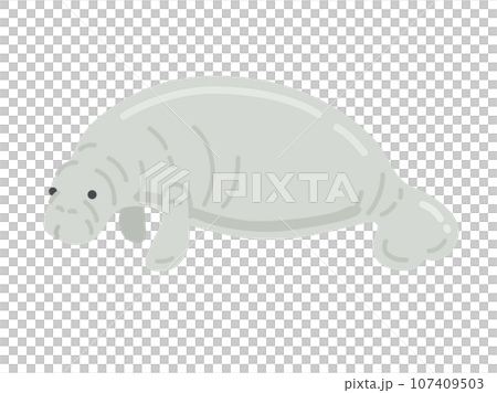 Manatees illustration 107409503