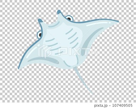 マンタのイラスト 107409505