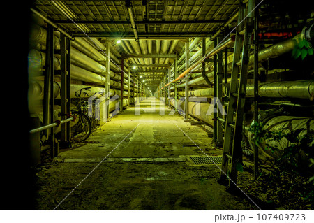 和歌山県　有田市　初島里町（東燃ゼネラル工場夜景　パイプトンネル） 107409723