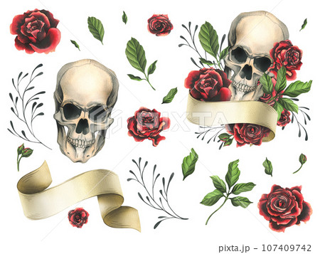 Human skull with ribbon for text, red rose flowers and leaves. Hand drawn watercolor illustration for Halloween, day of the dead, Dia de los muertos. Set of isolated elements on a white background. 107409742