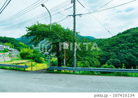 香川県 小豆島 中山千枚田 香川県 小豆島 中山千枚田 107410134