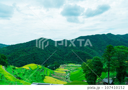 香川県 小豆島 中山千枚田 香川県 小豆島 中山千枚田 107410152