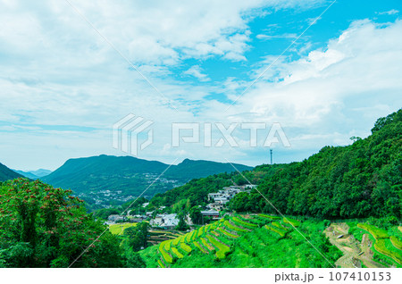 香川県 小豆島 中山千枚田 香川県 小豆島 中山千枚田 107410153