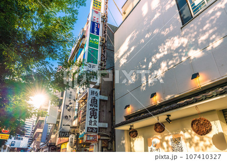 日本の横浜都市景観 9月。横浜駅西口前の繁華街と光芒。脱コロナ進む…(奥は相鉄・横浜駅など) 日本の横浜都市景観 9月。横浜駅西口前の繁華街と光芒。脱コロナ進む…(奥は相鉄・横浜駅など) 107410327