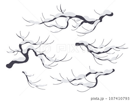 Snow Covered Tree Branches Isolated on White 107410793