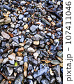 River pebble beach, natural beauty of stones. Grey monochrome background. Natural scenery 107411046