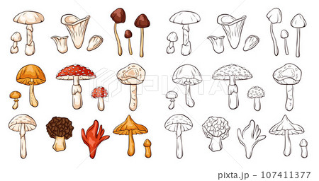 Inedible mushrooms set in line art style. Collection of colorful and monochrome mushrooms. Vector illustration isolated on a white background. 107411377