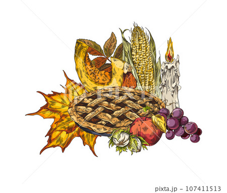 Thanksgiving Day, pie, pumpkin and nature elements, hand drawn vector. Thanksgiving Day, pie, pumpkin and nature elements, hand drawn vector. 107411513